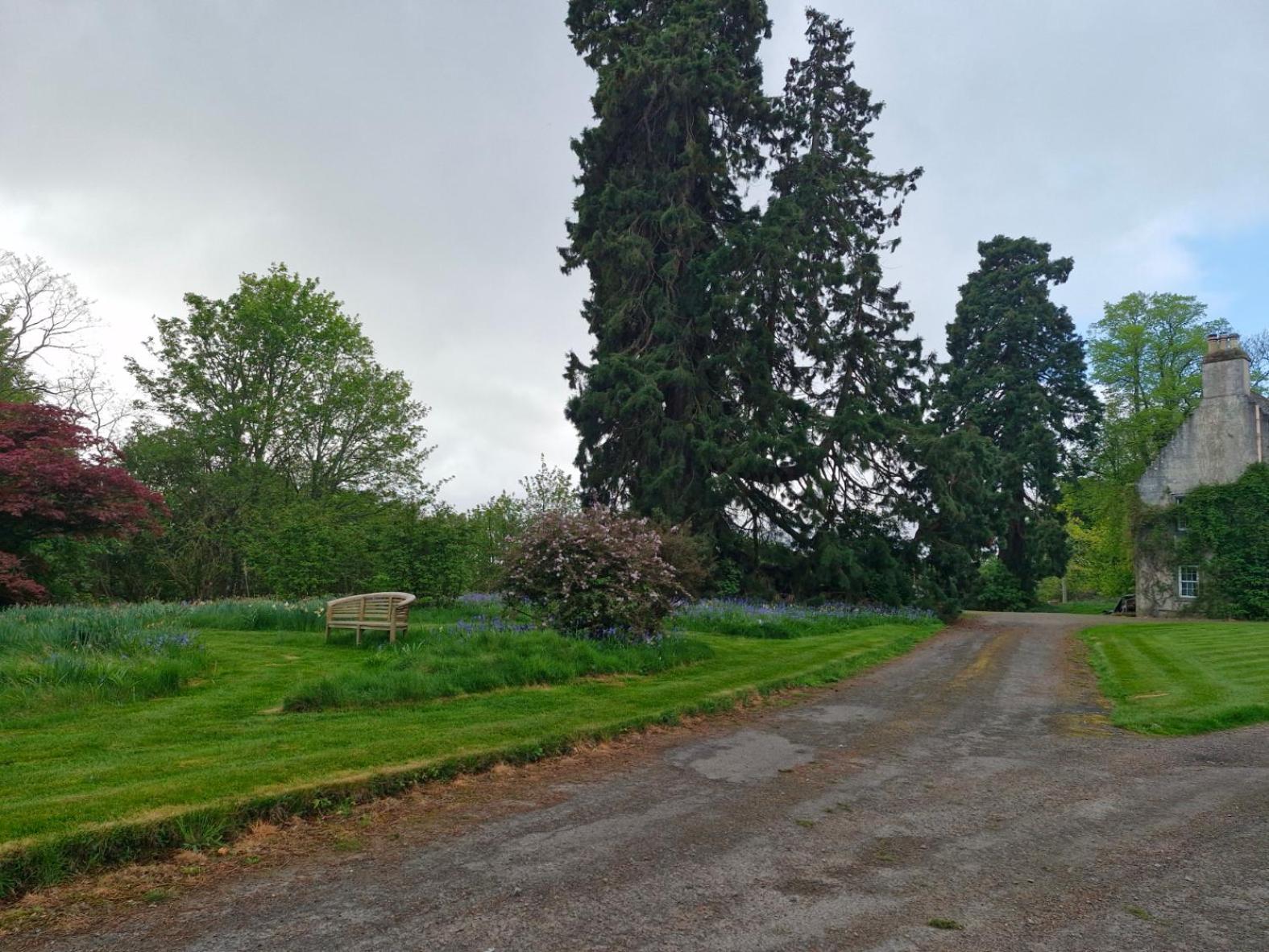 The Bungalow - Ardullie Lodge Dingwall Exterior photo